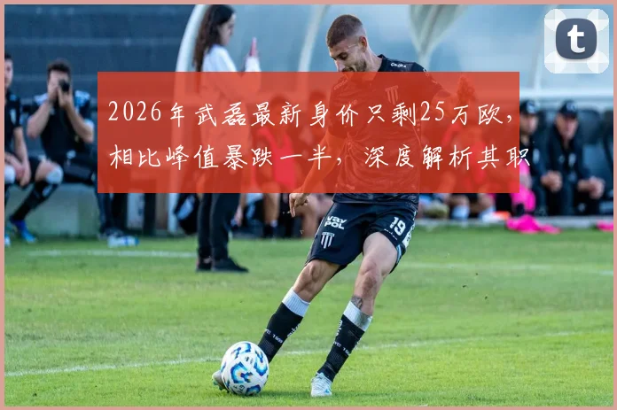 2026年武磊最新身价只剩25万欧,相比峰值暴跌一半,深度解析其职业生涯转折与未来去向