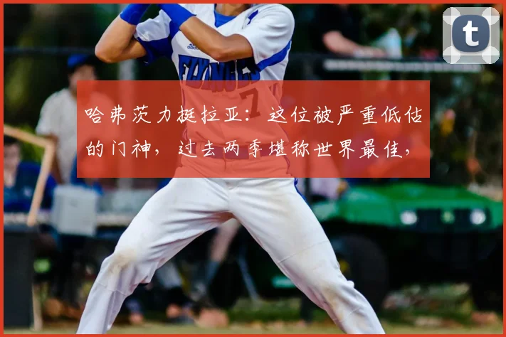 哈弗茨力挺拉亚:这位被严重低估的门神,过去两季堪称世界最佳,数据与表现全解析